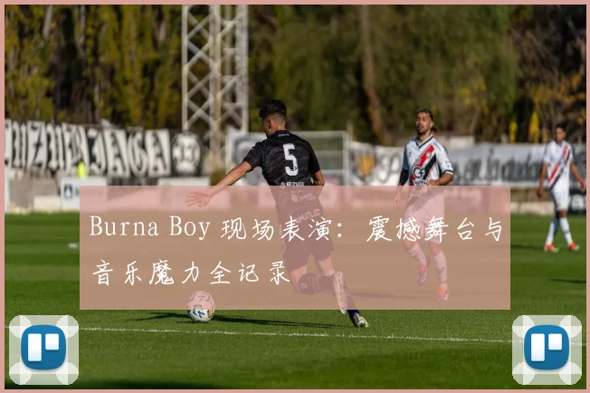 Burna Boy 现场表演：震撼舞台与音乐魔力全记录