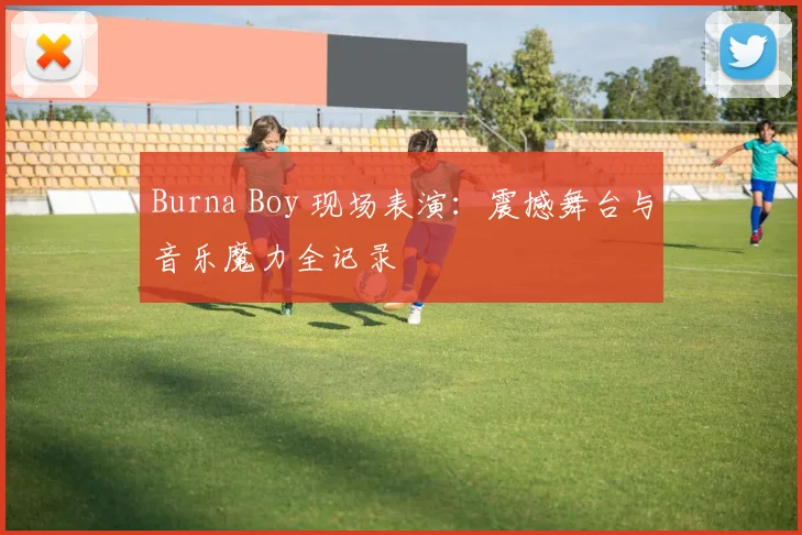 Burna Boy 现场表演：震撼舞台与音乐魔力全记录