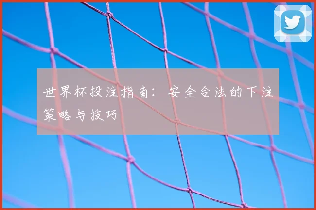 世界杯投注指南：安全合法的下注策略与技巧